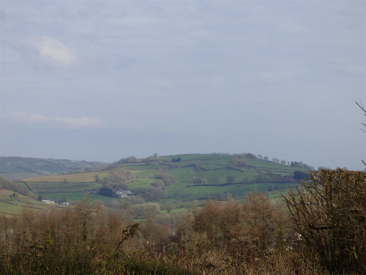 VIEWS FROTM THE REAR